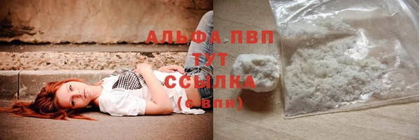 apvp Надым
