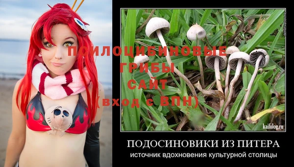 apvp Надым